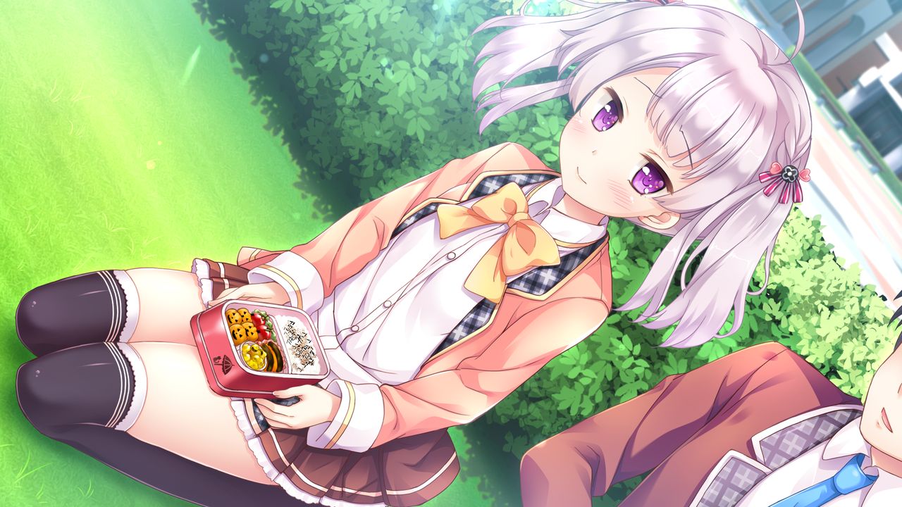 《樱花盛典 2（Happiness! 2）》插图