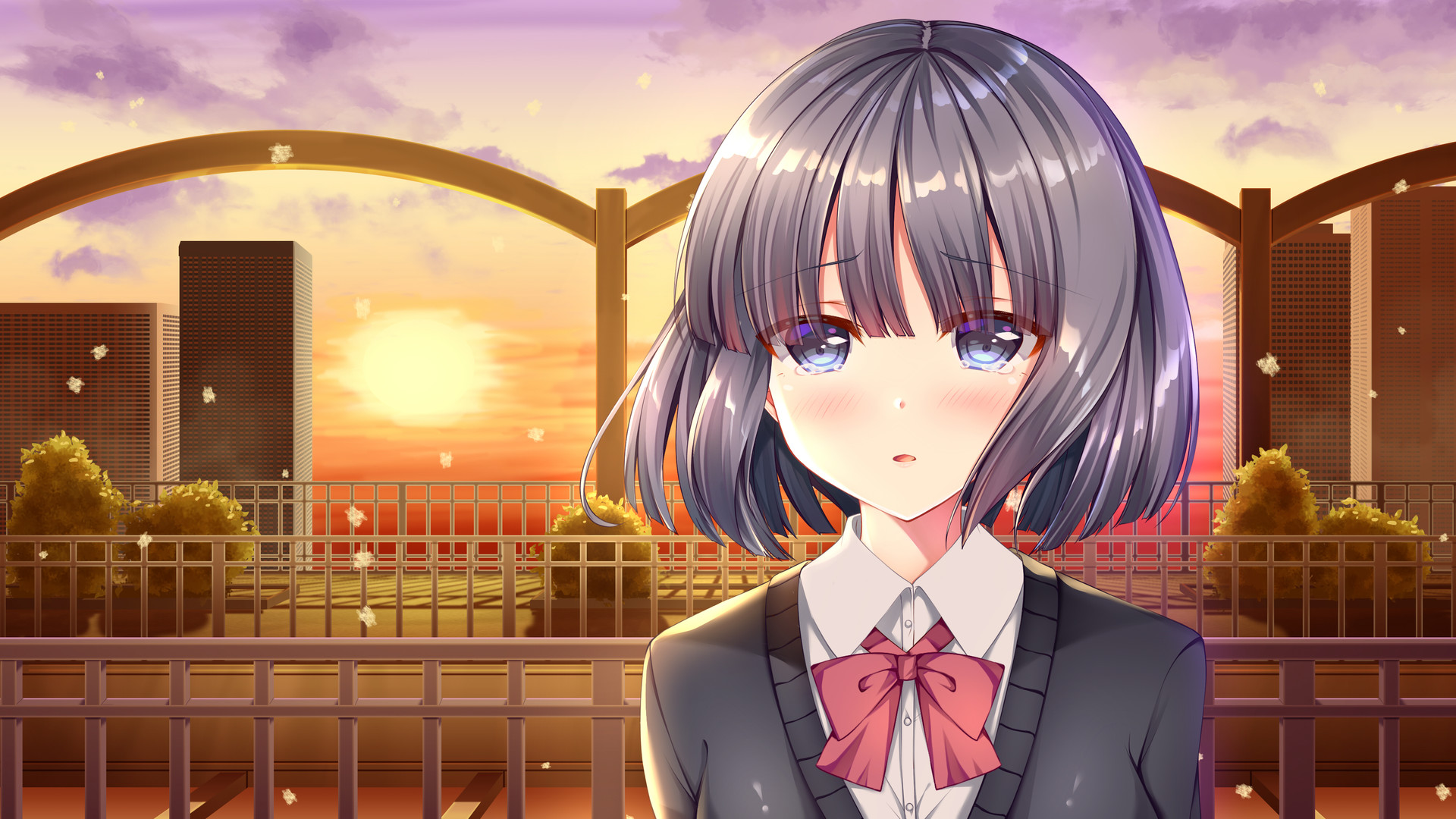 《白色之翼(White Wings)》插图17 《白色之翼(White Wings)》插图17