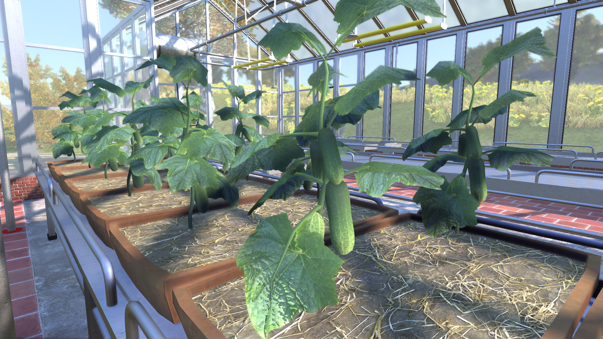 《农夫王朝(Farmers Dynasty)》插图9 《农夫王朝(Farmers Dynasty)》插图9