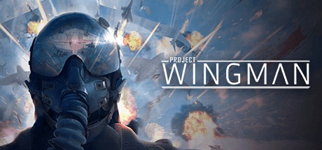《僚机计划（Project Wingman）》-92GAME-游戏仓库-全球最大的游戏下载交流中心