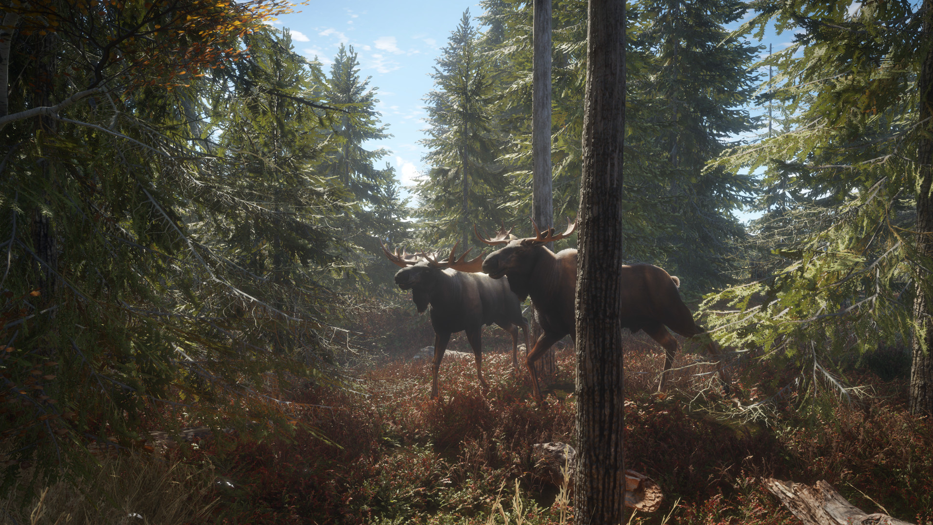 图片[24]-《猎人：野性的呼唤（theHunter: Call of the Wild™）》92GAME-游戏仓库独家提供-92GAME-游戏仓库-全球最大的游戏下载交流中心