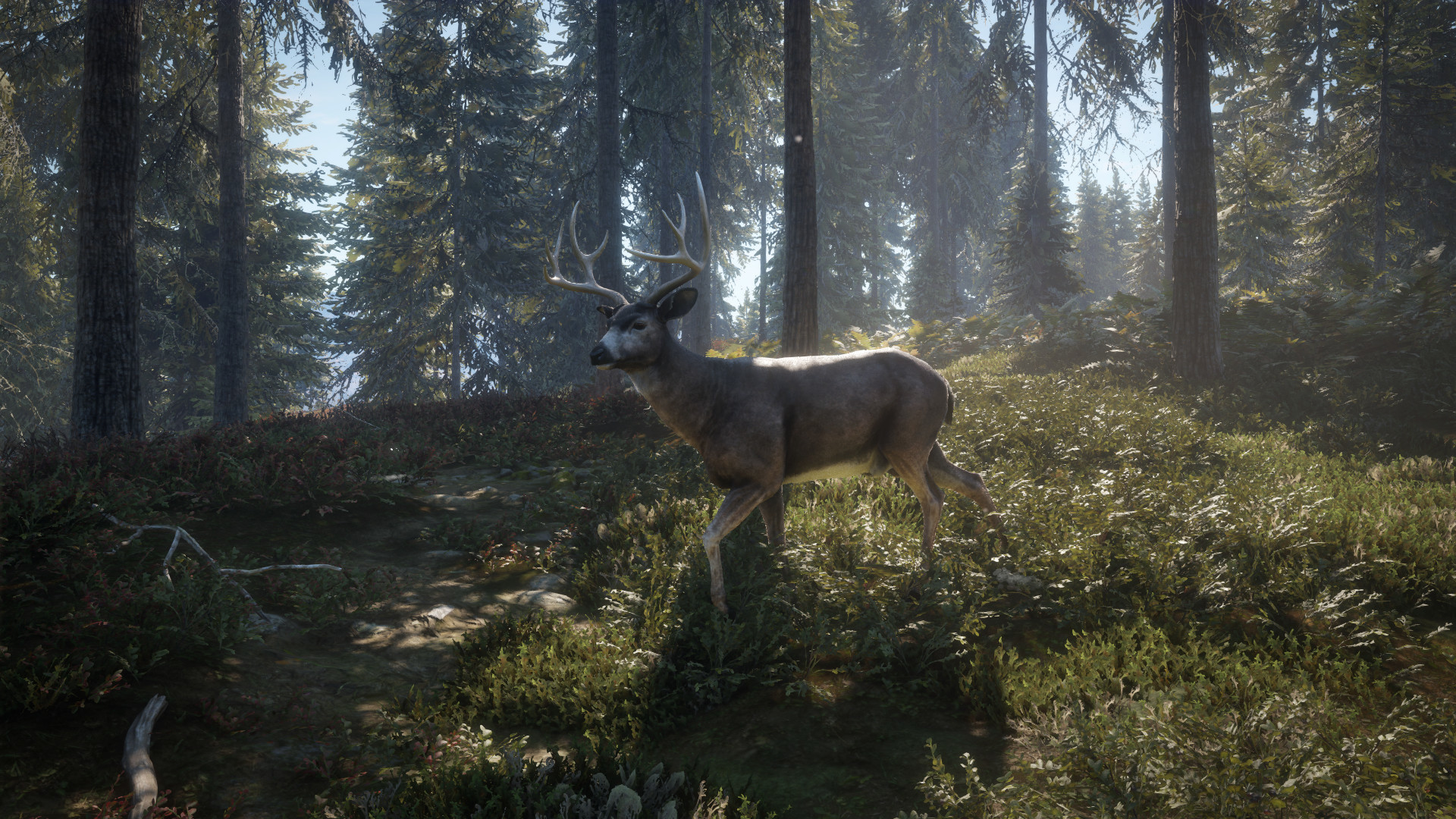 图片[23]-《猎人：野性的呼唤（theHunter: Call of the Wild™）》92GAME-游戏仓库独家提供-92GAME-游戏仓库-全球最大的游戏下载交流中心