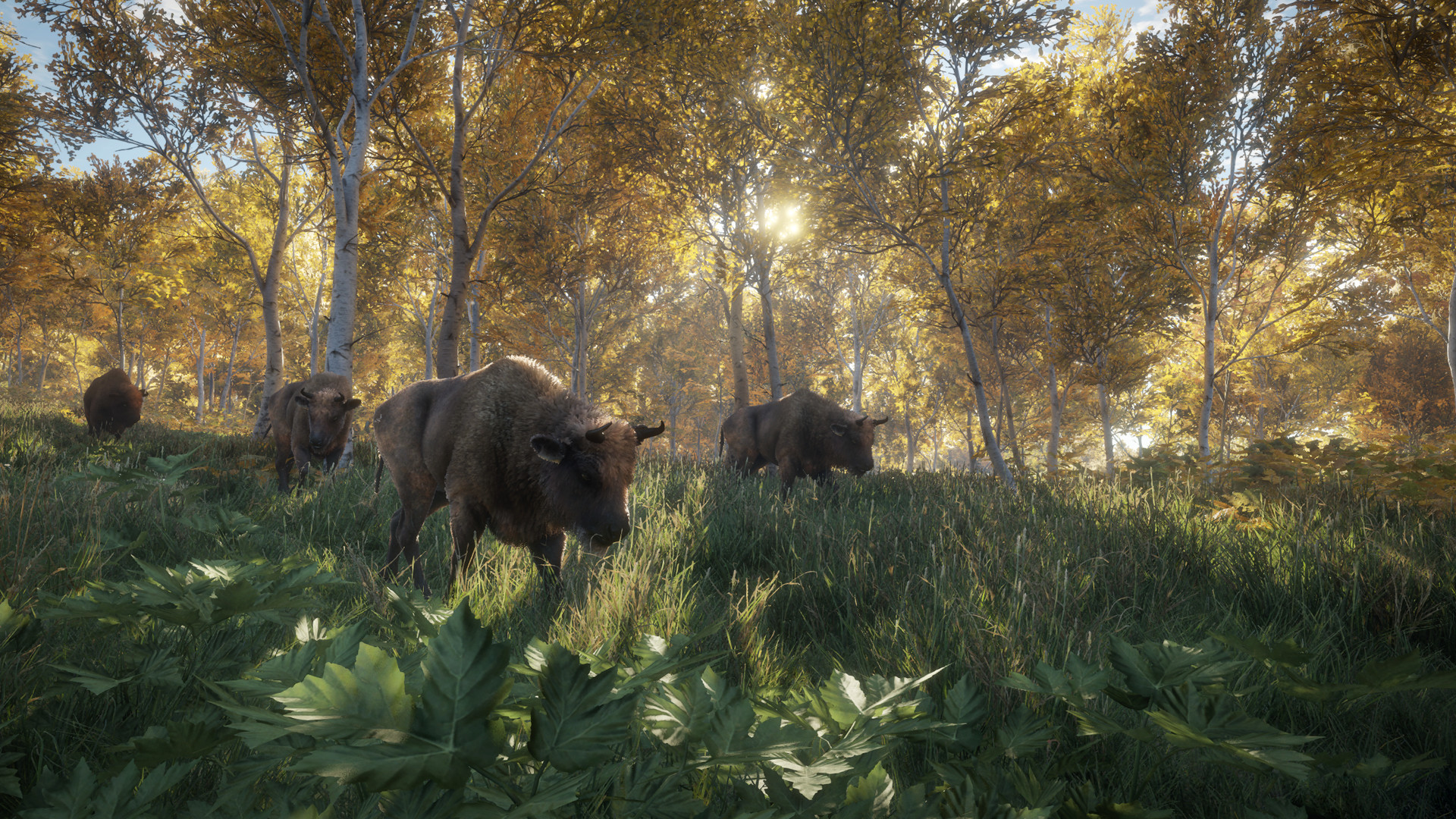 图片[20]-《猎人：野性的呼唤（theHunter: Call of the Wild™）》92GAME-游戏仓库独家提供-92GAME-游戏仓库-全球最大的游戏下载交流中心
