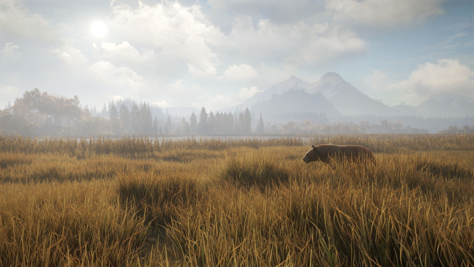图片[1]-《猎人：野性的呼唤（theHunter: Call of the Wild™）》92GAME-游戏仓库独家提供-92GAME-游戏仓库-全球最大的游戏下载交流中心