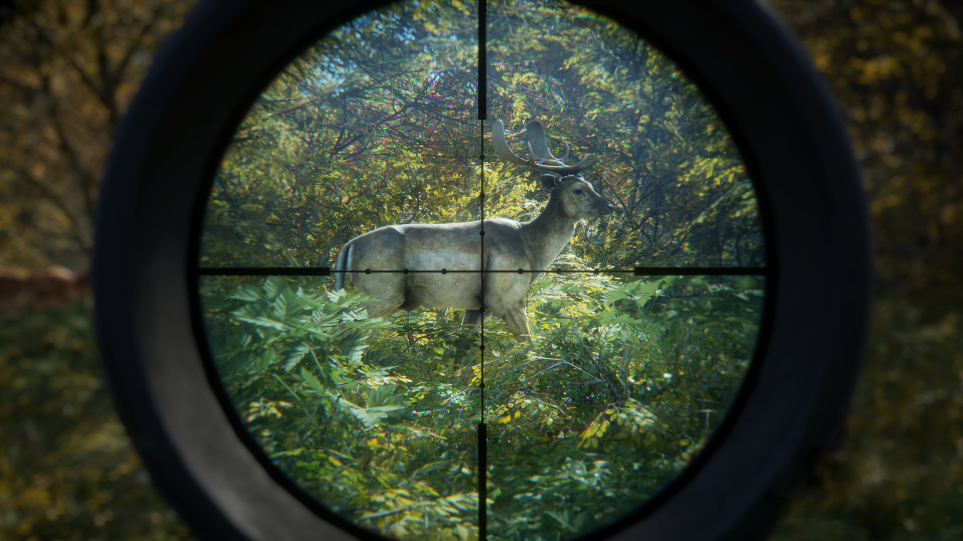 图片[2]-《猎人：野性的呼唤（theHunter: Call of the Wild™）》92GAME-游戏仓库独家提供-92GAME-游戏仓库-全球最大的游戏下载交流中心