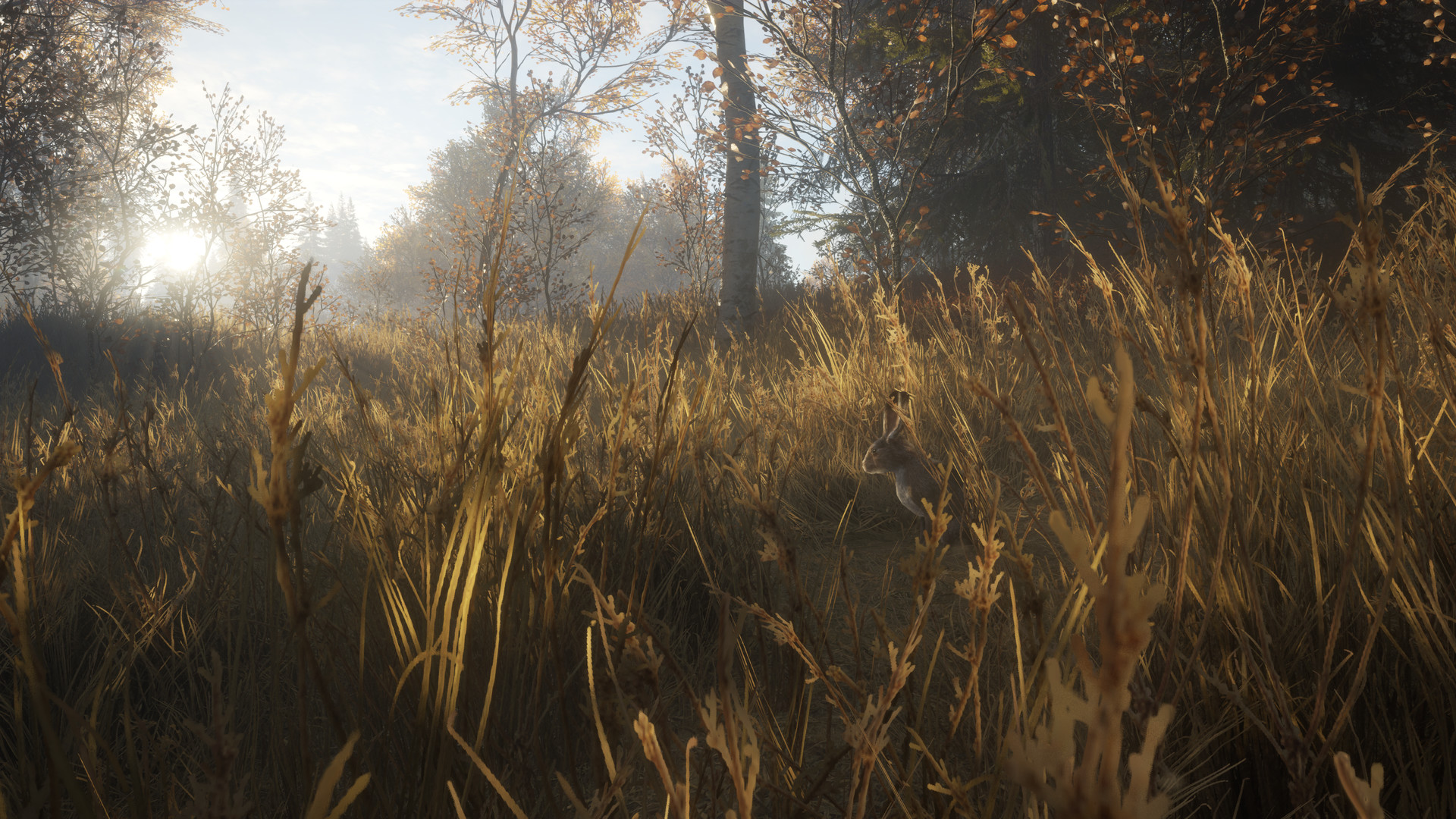 图片[6]-《猎人：野性的呼唤（theHunter: Call of the Wild™）》92GAME-游戏仓库独家提供-92GAME-游戏仓库-全球最大的游戏下载交流中心