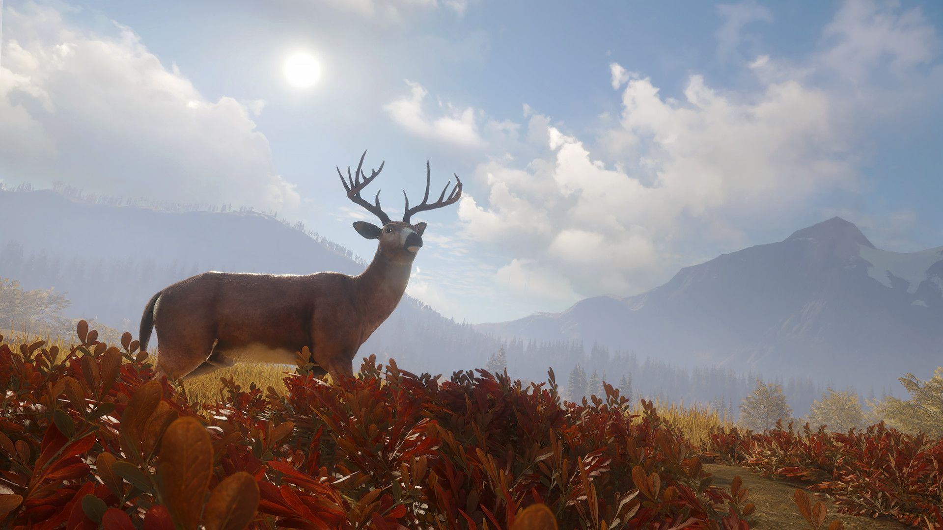 图片[8]-《猎人：野性的呼唤（theHunter: Call of the Wild™）》92GAME-游戏仓库独家提供-92GAME-游戏仓库-全球最大的游戏下载交流中心