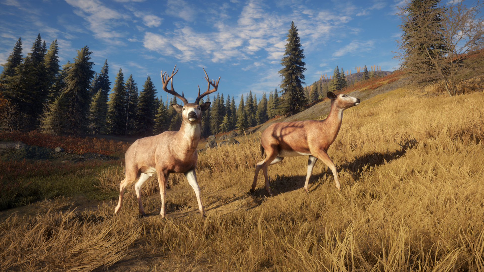 图片[9]-《猎人：野性的呼唤（theHunter: Call of the Wild™）》92GAME-游戏仓库独家提供-92GAME-游戏仓库-全球最大的游戏下载交流中心