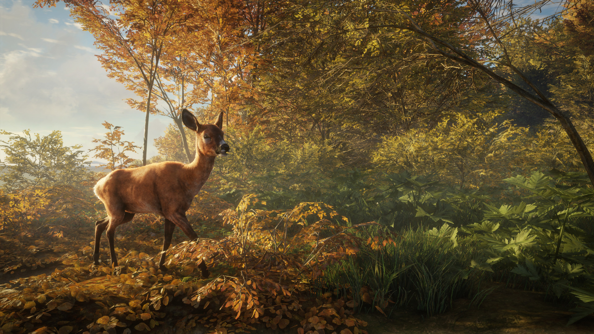 图片[11]-《猎人：野性的呼唤（theHunter: Call of the Wild™）》92GAME-游戏仓库独家提供-92GAME-游戏仓库-全球最大的游戏下载交流中心