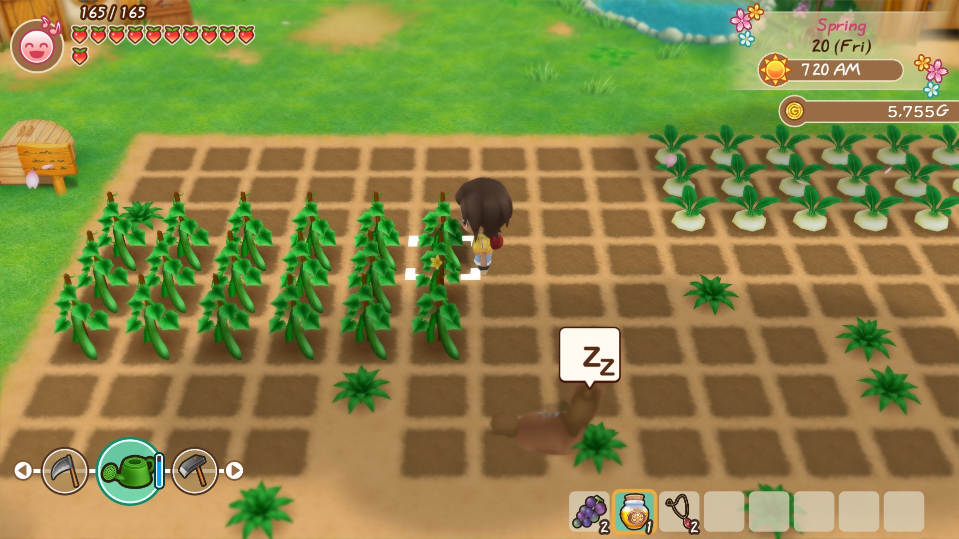 图片[5]-《牧场物语：重聚矿石镇（STORY OF SEASONS: Friends of Mineral Town）》92GAME-游戏仓库独家提供-92GAME-游戏仓库-全球最大的游戏下载交流中心