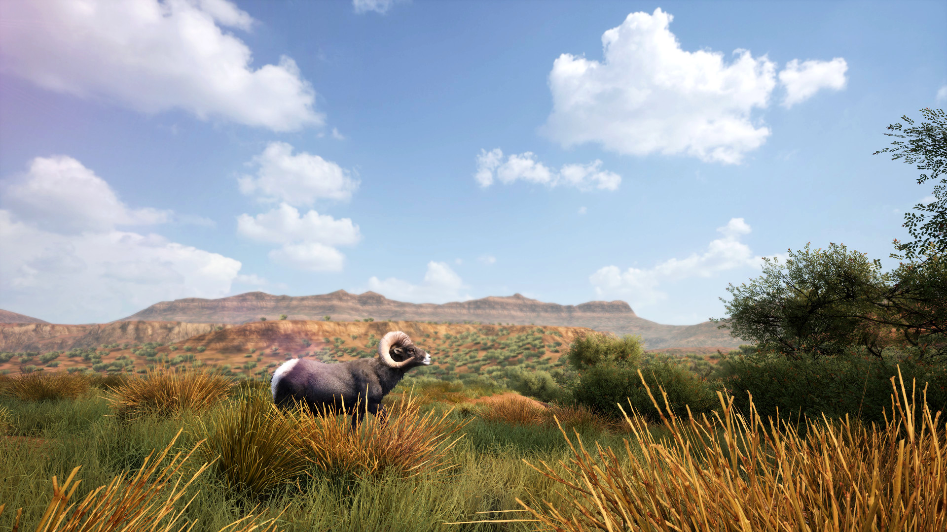 图片[7]-《模拟狩猎2（Hunting Simulator 2）》92GAME-游戏仓库独家提供-92GAME-游戏仓库-全球最大的游戏下载交流中心