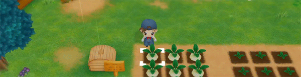 图片[1]-《牧场物语：重聚矿石镇（STORY OF SEASONS: Friends of Mineral Town）》92GAME-游戏仓库独家提供-92GAME-游戏仓库-全球最大的游戏下载交流中心